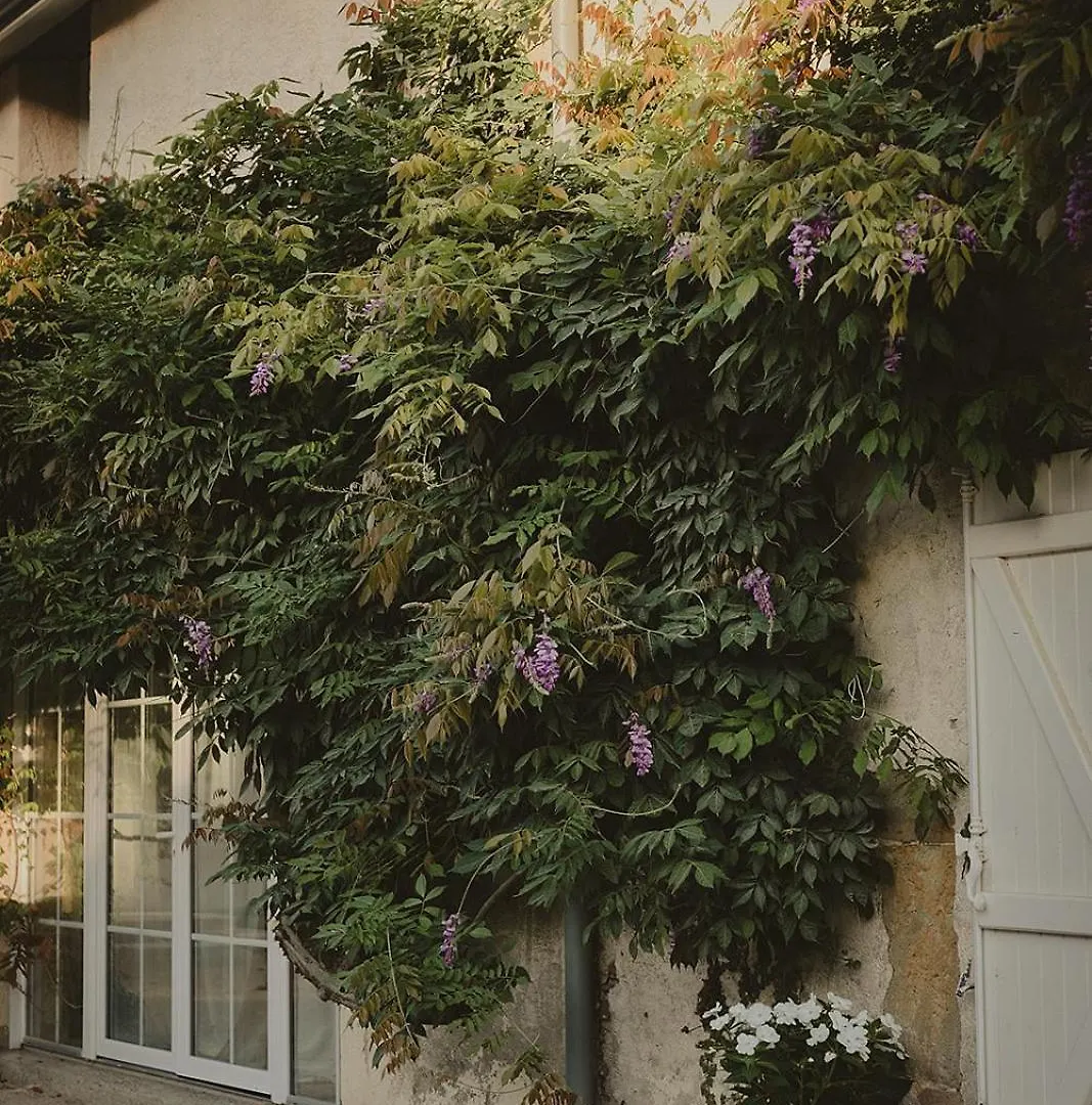 Bed & Breakfast Domaine De Bassibe Bed and Breakfast Ségos